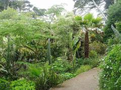 131 Ile de Batz Jardin Georges Delaselle_000030